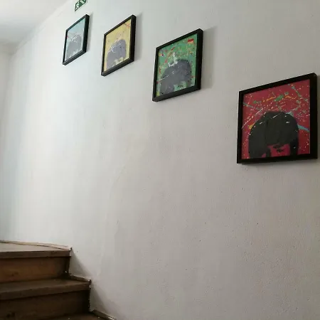 Locals & ホステル *