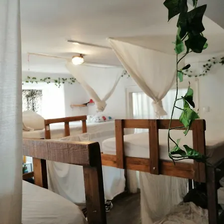 Locals & ホステル