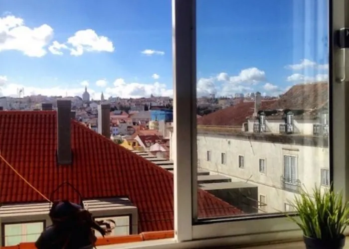 Locals & Hostel Lisbon